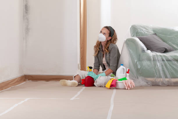 Reliable Mold Inspection contractor in Essex, MD by WQB Mold Removal